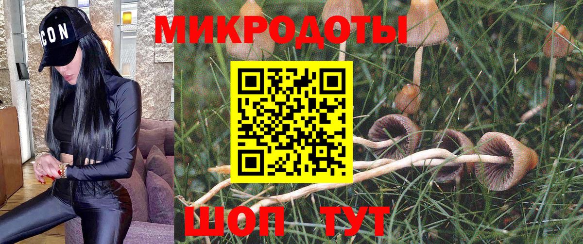 Галлюциногенные грибы GOLDEN TEACHER Курск