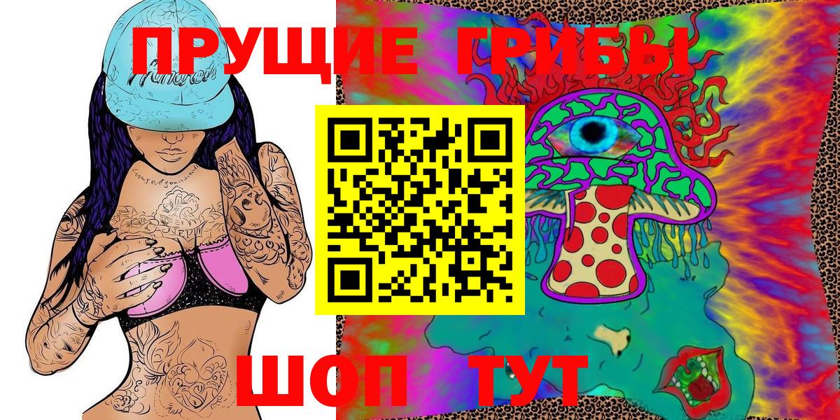 Псилоцибиновые грибы Psilocybe Курск