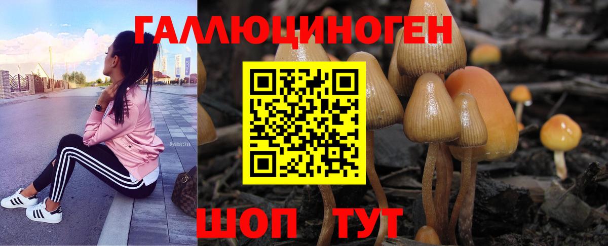 Курск  Галлюциногенные грибы Psilocybe  купить наркоту  Вход с VPN  Псилоцибиновые грибы мицелий 